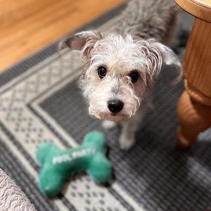 Fundraising Page: April Van Horn